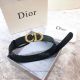 AAA Quality Dior Black Leather Belt All Gold Buckle (5)_th.jpg